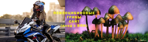 ГАЛЛЮЦИНОГЕННЫЕ ГРИБЫ Алзамай
